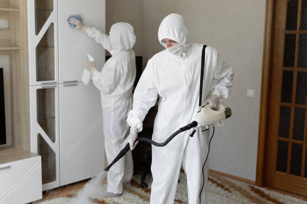 Certified Mold Removal in Mount Carmel, PA