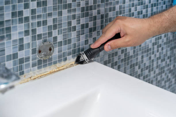 Best Same-Day Mold Removal  in Mount Carmel, PA